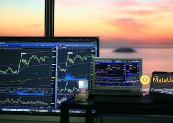 koin micin potensial baru dan murah yang akan naik