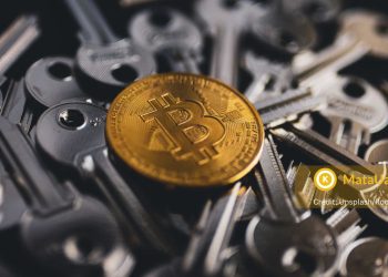 perbedaan private key dan public key